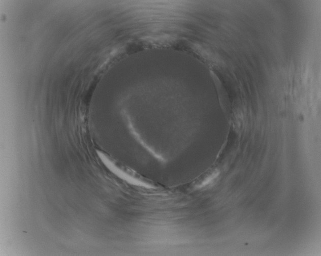 X0000071971010200607282052