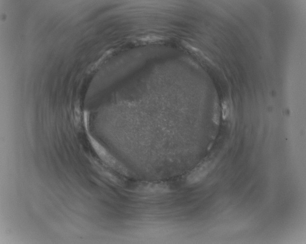 X0000071971011200607282052