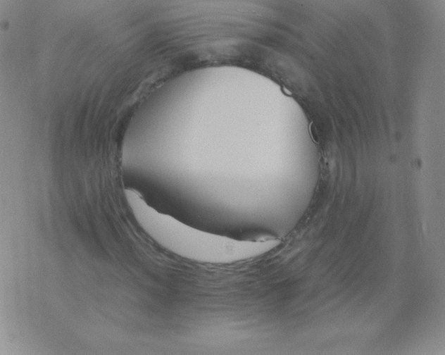 X0000071971012200607282052