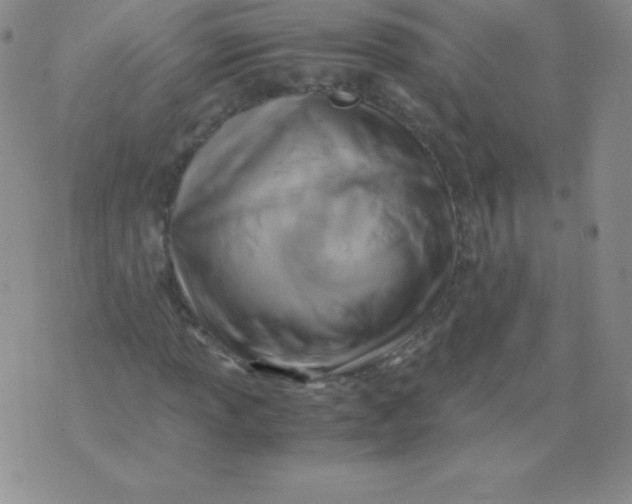 X0000071971013200607282052