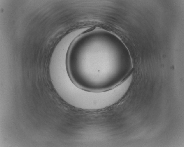 X0000071971014200607282052