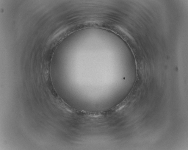 X0000071971015200607282052