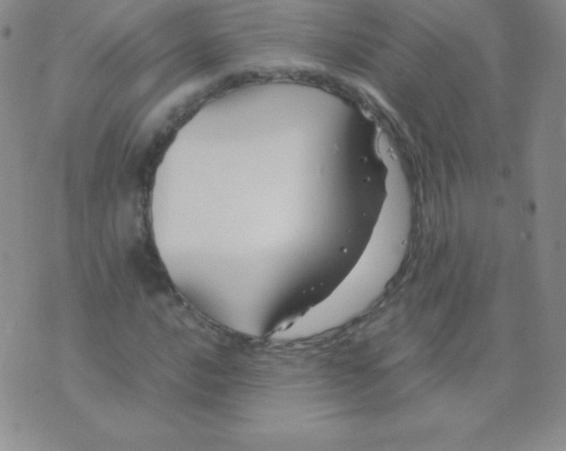 X0000071971016200607282053