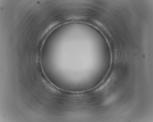 X0000071971017200607282053