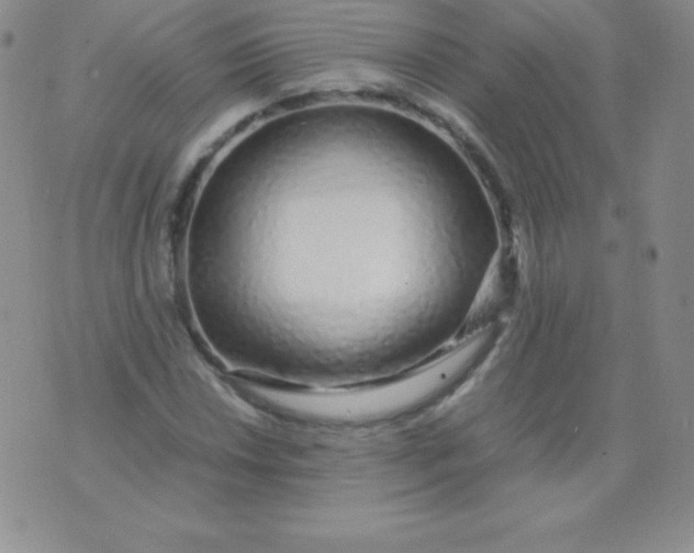 X0000071971018200607282053