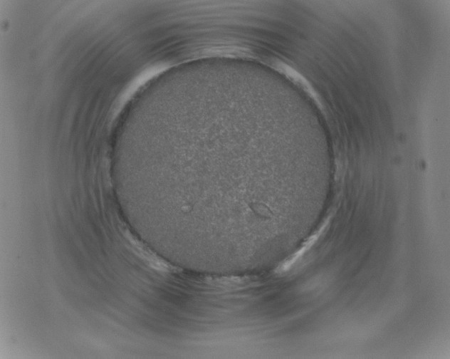 X0000071971019200607282053