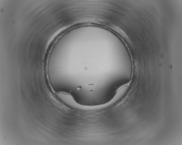 X0000071971020200607282053