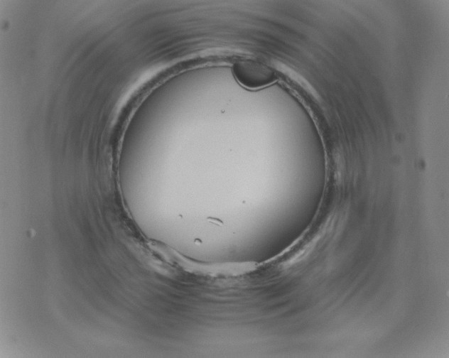 X0000071971021200607282053