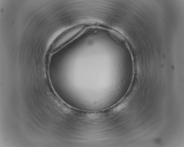 X0000071971022200607282053