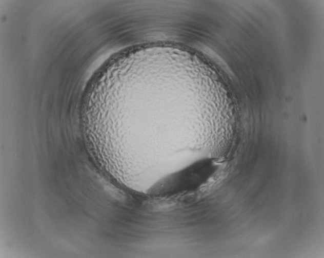 X0000071971023200607282053