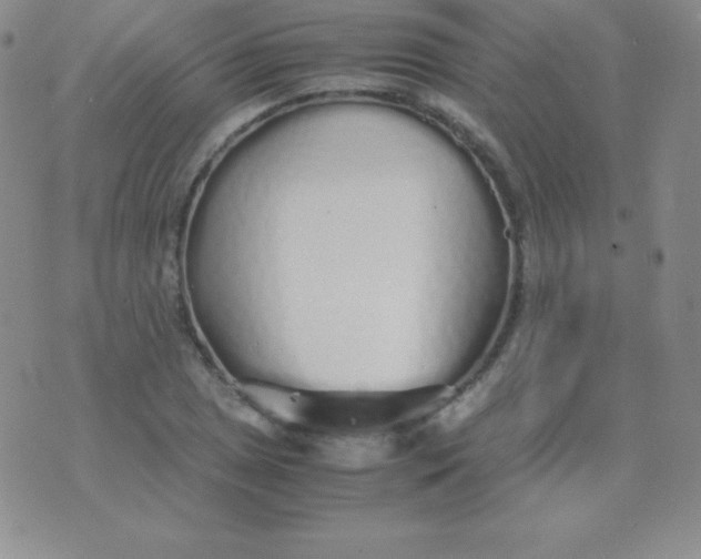 X0000071971025200607282053