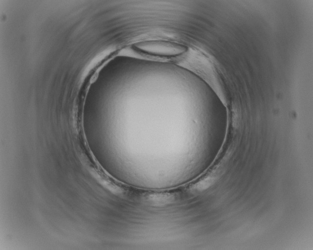 X0000071971026200607282053