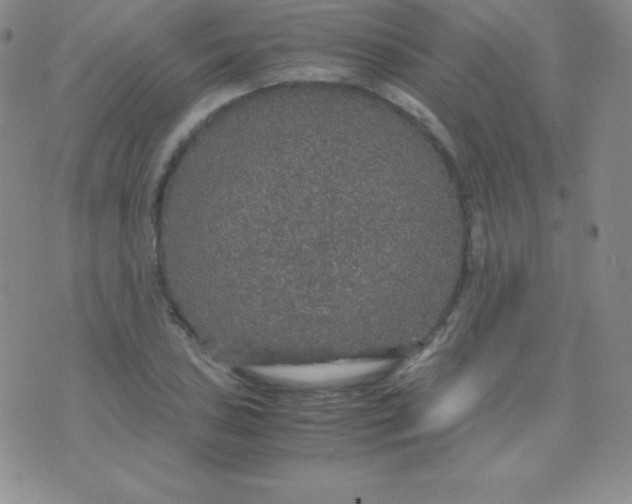 X0000071971027200607282053