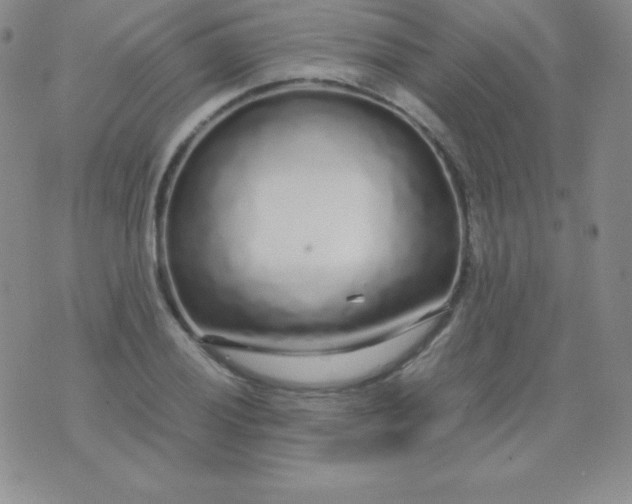 X0000071971028200607282053