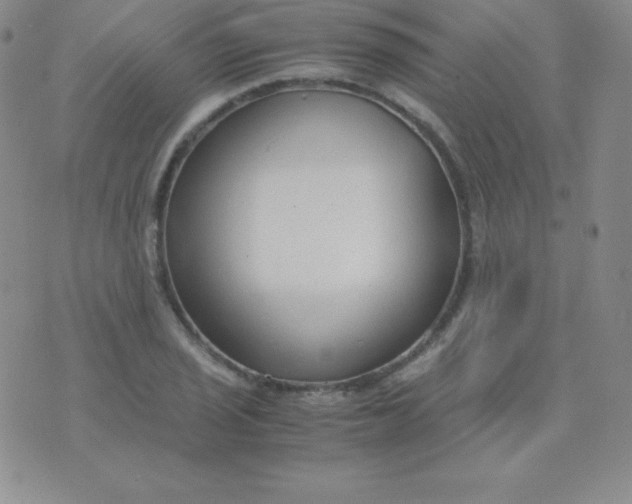 X0000071971029200607282053