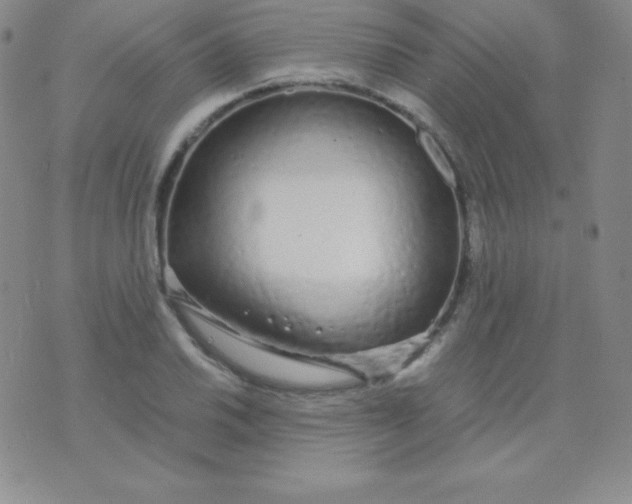 X0000071971030200607282053