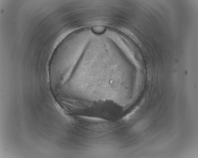 X0000071971031200607282053