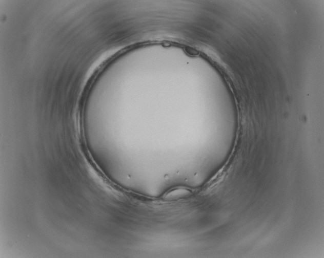 X0000071971032200607282053