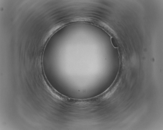 X0000071971033200607282053