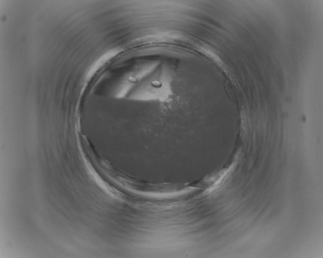 X0000071971034200607282053