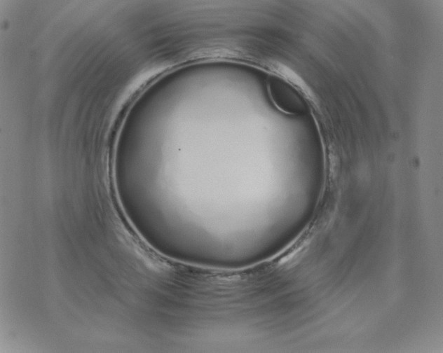 X0000071971035200607282053