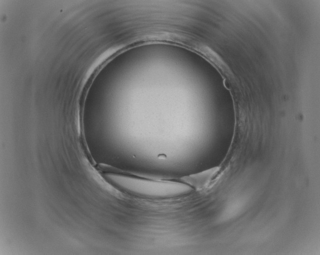 X0000071971036200607282053