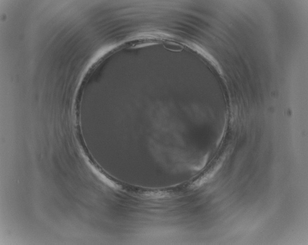 X0000071971037200607282053