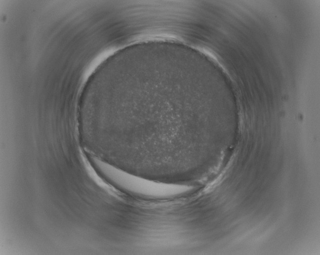 X0000071971038200607282053