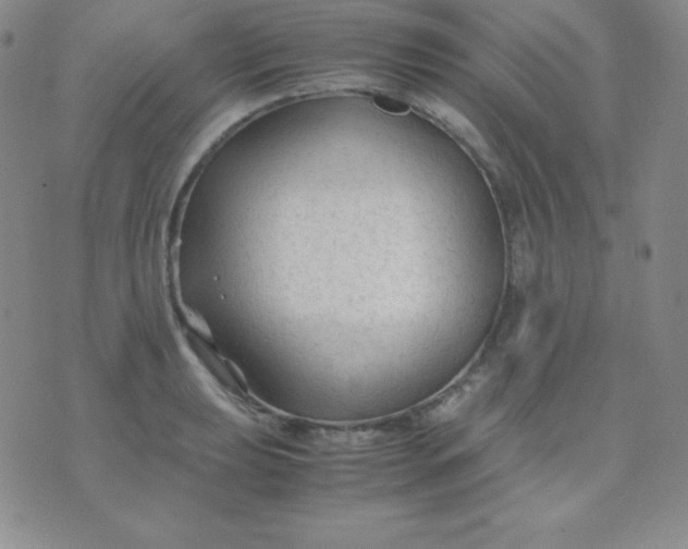 X0000071971039200607282053