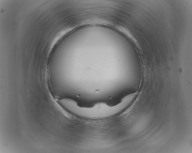 X0000071971040200607282053