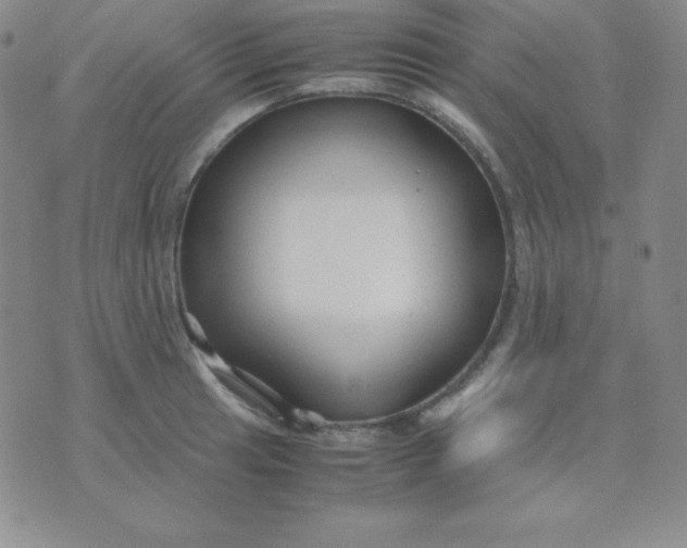 X0000071971041200607282053