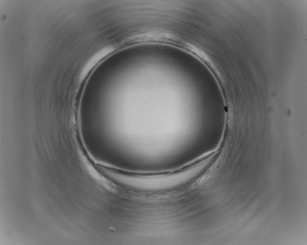 X0000071971042200607282053