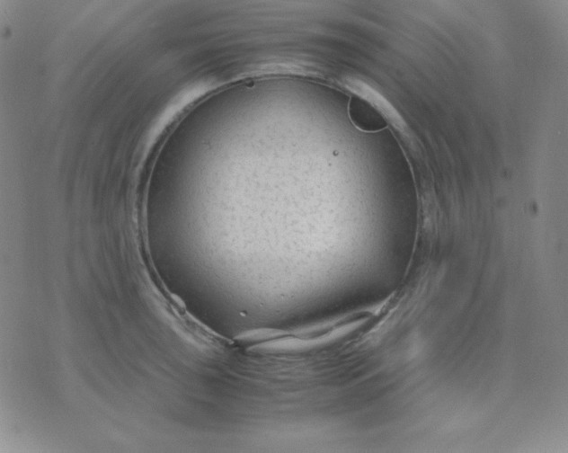 X0000071971043200607282053