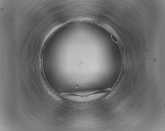 X0000071971044200607282053