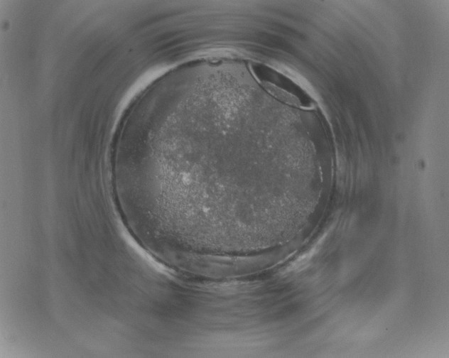 X0000071971045200607282053