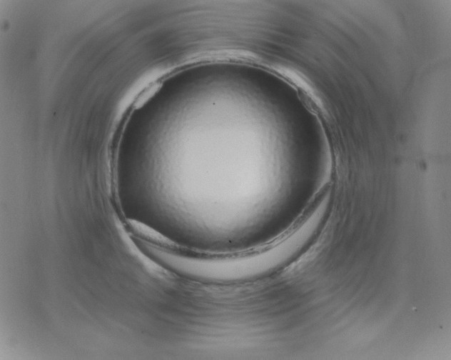 X0000071971046200607282053