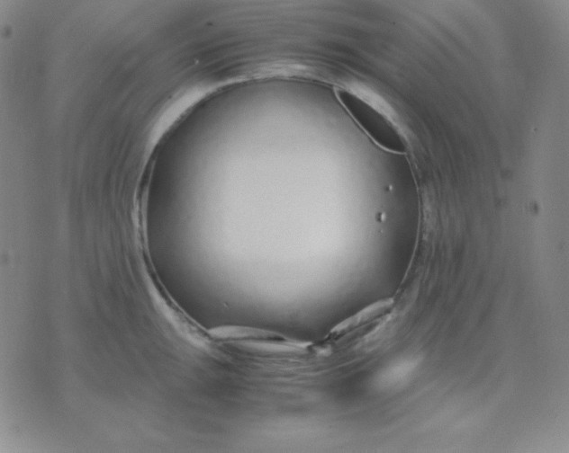 X0000071971047200607282053