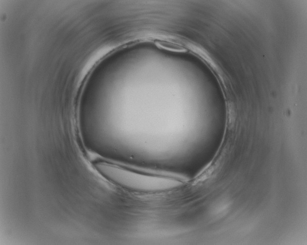 X0000071971048200607282053