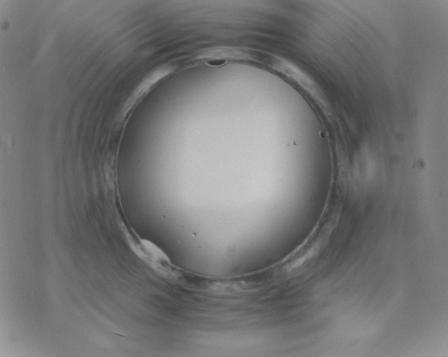 X0000071971049200607282053