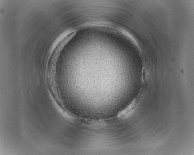 X0000071971050200607282053