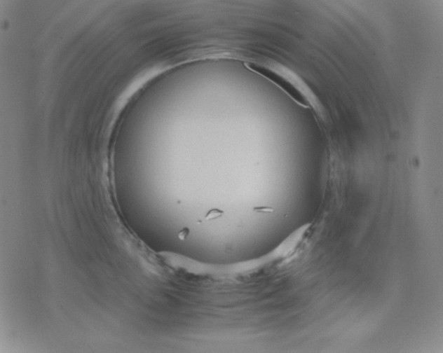 X0000071971051200607282053