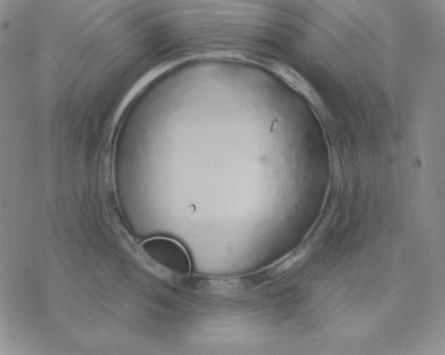 X0000071971052200607282053