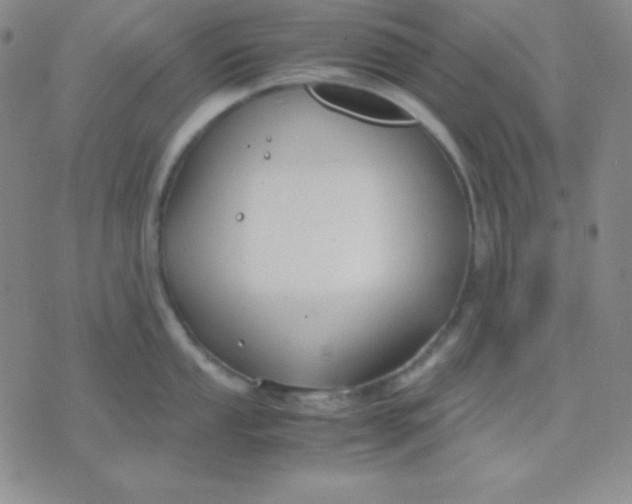 X0000071971053200607282053