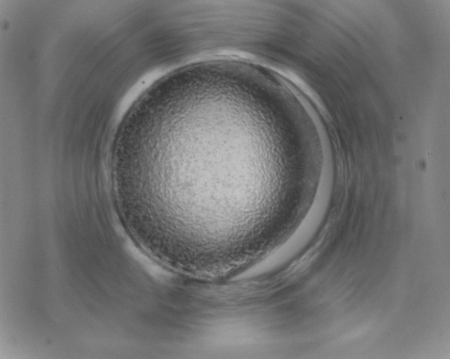 X0000071971054200607282053