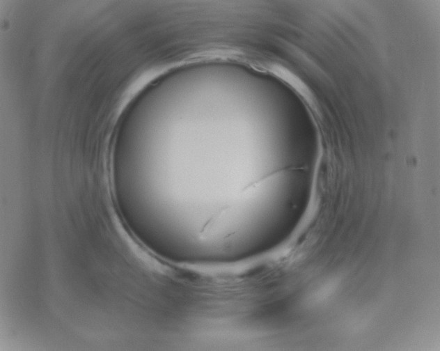 X0000071971055200607282053