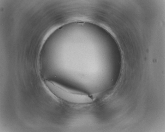 X0000071971056200607282053