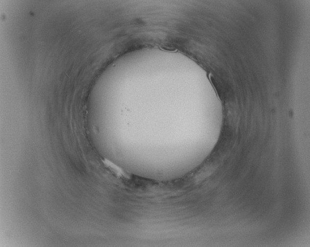 X0000071971057200607282052