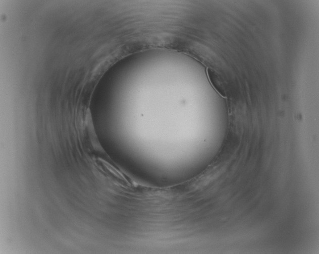 X0000071971058200607282052