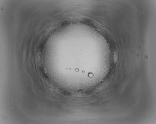 X0000071971059200607282052