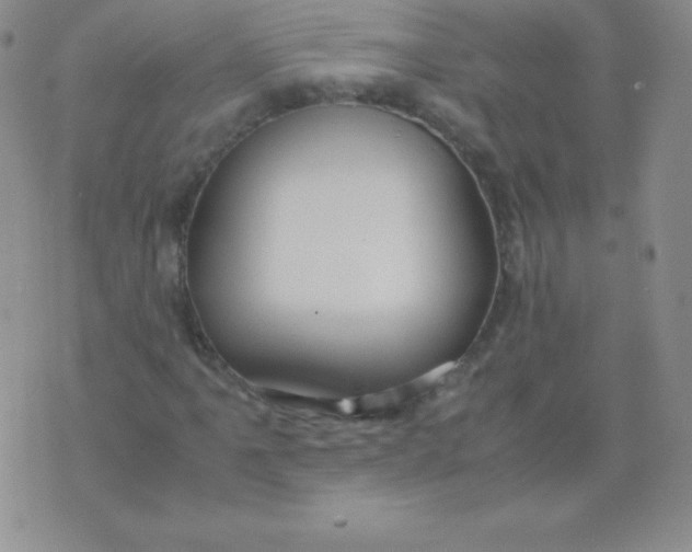 X0000071971061200607282052